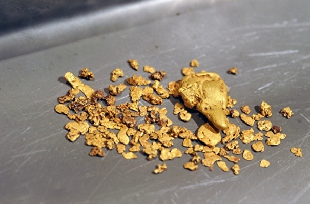 Магаданская область нарастила добычу золота до 49 тонн