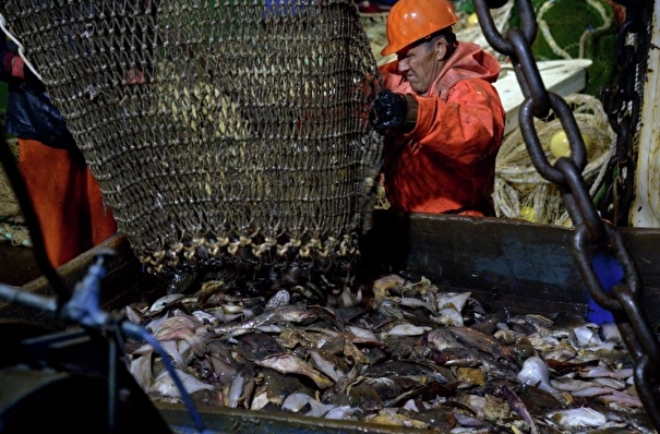 Трутнев: запрет на экспорт рыбы в КНР требует развития переработки и новых рынков сбыта