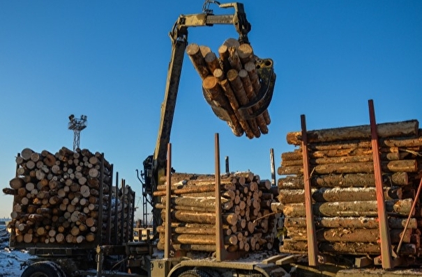 Лес почти на 40 млн рублей контрабандой вывезен из Забайкалья в Китай