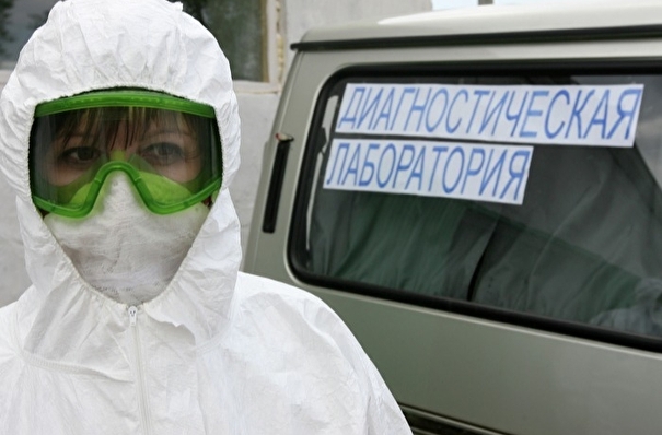 Вирус АЧС выявлен в паштетах в Хакасии и Кузбассе