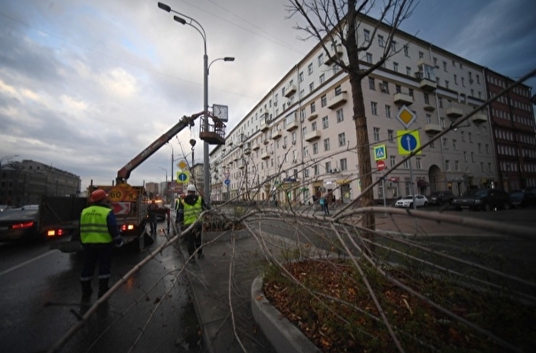 Штормовой ветер повалил деревья и сорвал кровли со зданий в Петропавловске-Камчатском