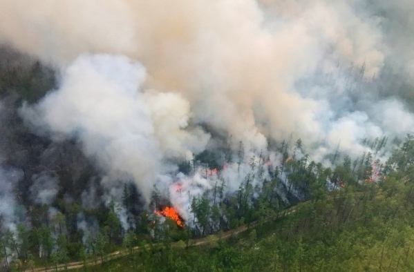 Площадь природных пожаров в Приморье за сутки выросла в 10 раз
