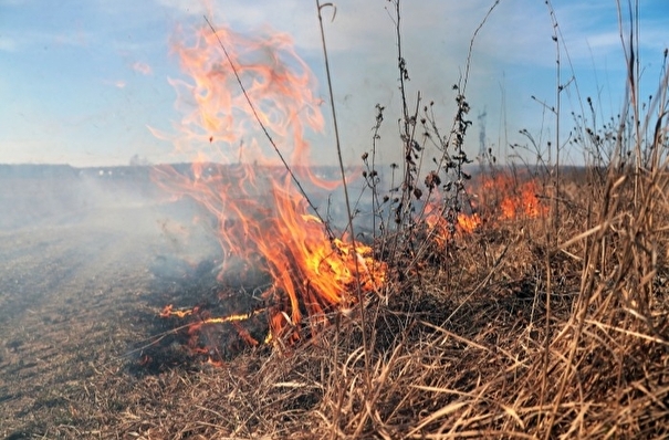 Тульские пожарные более 2 тыс. раз выезжали на тушение пала травы с начала весны