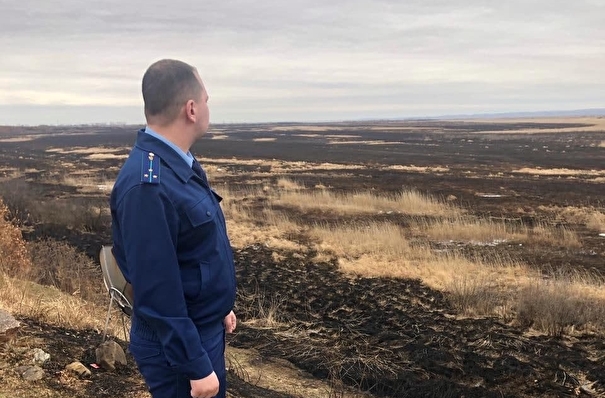Муравьевский парк пострадал от пожара в Приамурье
