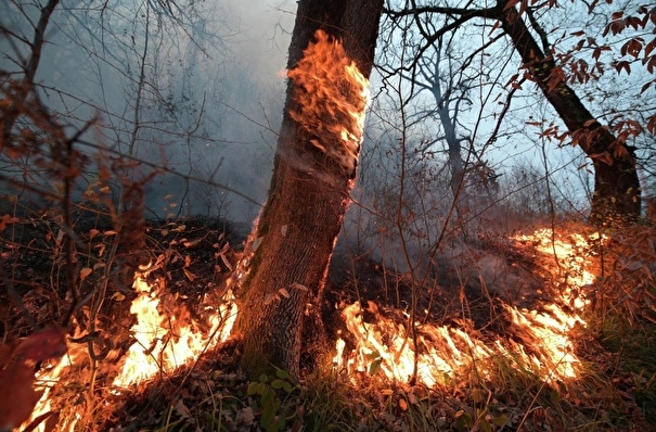 Более 60 ландшафтных пожаров ликвидировано в Алтайском крае