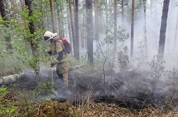 Куйвашев предлагает наградить пожарных, попавших в окружение лесного пожара под Тюменью