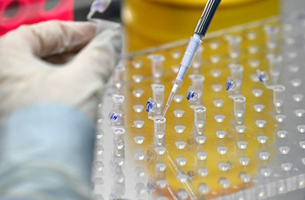 Нижегородские ученые разрабатывают свою вакцину от коронавируса