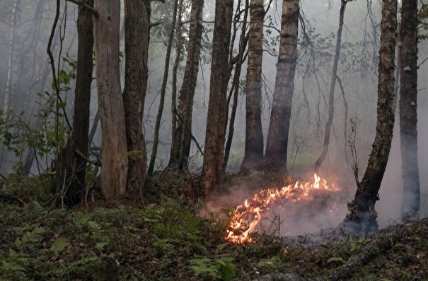 Путин ставит вопрос о привлечении сил Минобороны к борьбе с лесными пожарами на Дальнем Востоке и Якутии