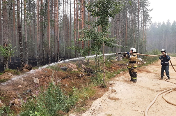 Крупные лесные пожары в Карелии удалось локализовать
