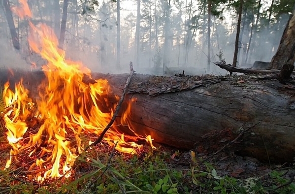 Крупные очаги природного пожара под Оренбургом потушены - МЧС