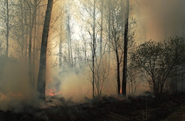 Число задымленных из-за пожаров населенных пунктов в Иркутской области выросло до 745