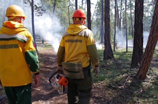 Число и площади лесных пожаров сократились в Иркутской области