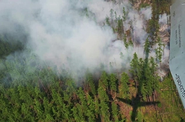 МЧС: природные пожары на площади свыше 309 тыс. га ликвидировали в Якутии за сутки