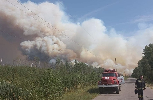 Угрозы населенным пунктам в Нижегородской области из-за пожара в Мордовском заповеднике нет