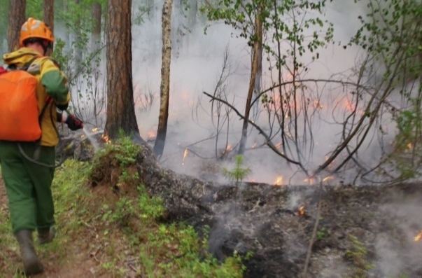 Спасатели защитили населенные пункты от природного пожара на юго-востоке Самарской области