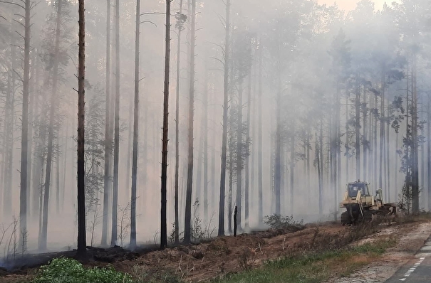 Леса в Марий Эл горят на площади 54 га