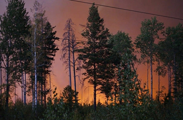 Фронт лесного пожара находится на расстоянии 1,5 км от нижегородского Сарова