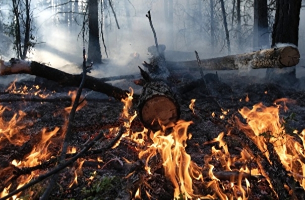 Более 40 природных пожаров тушат в Свердловской области, угрозы населению нет