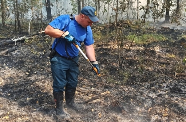 Режим ЧС снимают в Марий Эл в связи со стабилизацией ситуации с пожарами в лесах