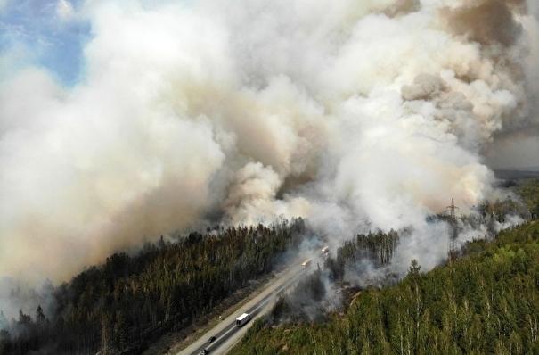 Количество лесных пожаров в Свердловской области в этом году оказалось рекордным за последние 10 лет - эксперт