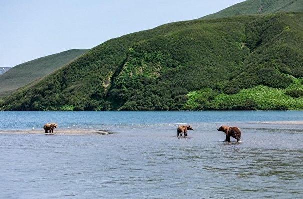 Туристам вновь разрешено посещать Курильское озеро на Камчатке
