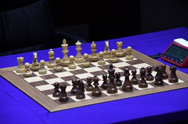 Розыгрыш Кубка Толстого по шахматам стартовал в Ясной Поляне под Тулой
