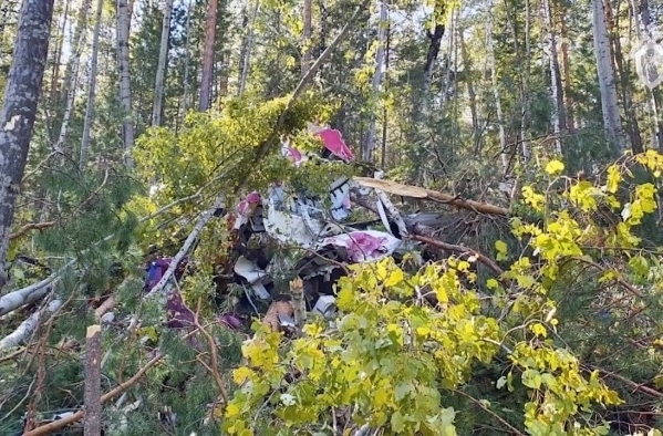 Два бортовых самописца найдены на месте крушения самолета в Иркутской области