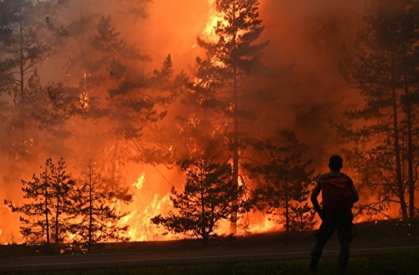 Глава Минприроды назвал 2021 год рекордным по площади лесных пожаров в РФ