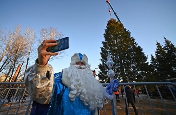 Главную новогоднюю елку страны нашли в деревне Новопареево, ее высота - 28 метров