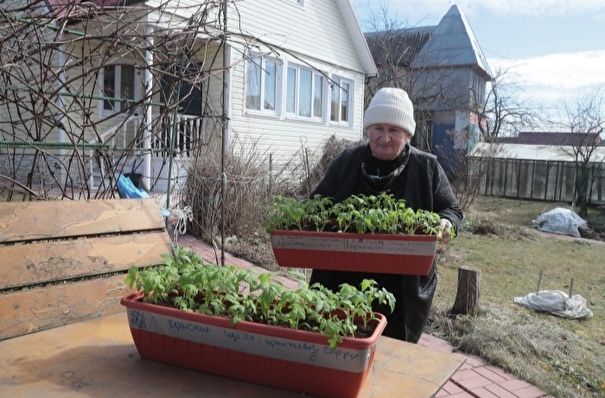 Жители Ставрополья получат гранты на развитие садоводства в личных хозяйствах