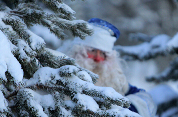 Резиденция Деда Мороза открывается в Саранске, для посещения взрослым необходим QR-код
