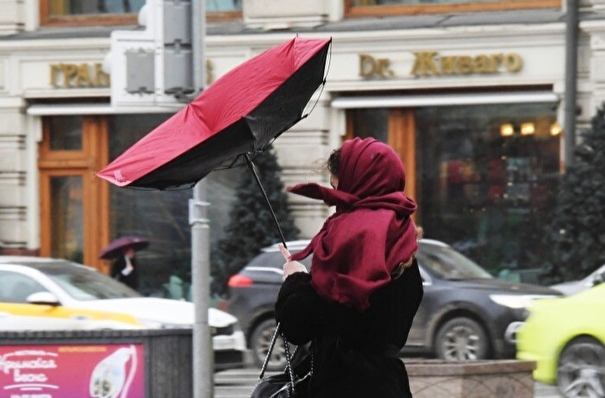 Ветер в Москве может усилиться до 25 м/с