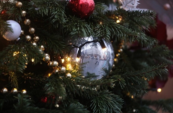 Собянин: планов по введению ограничений на новогодние праздники в Москве нет
