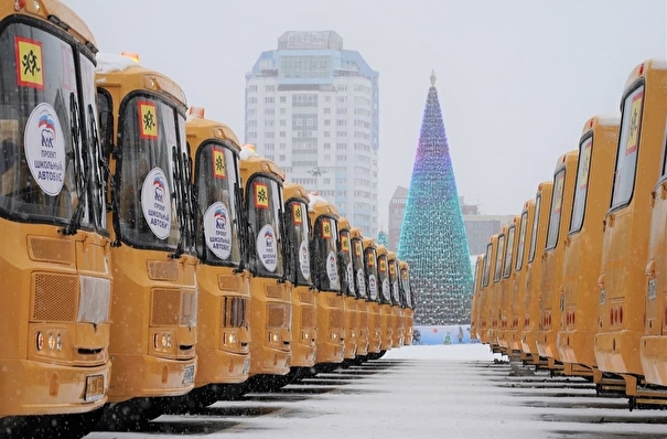 Парк школьных автобусов в Самарской области полностью соответствует нормативам - губернатор