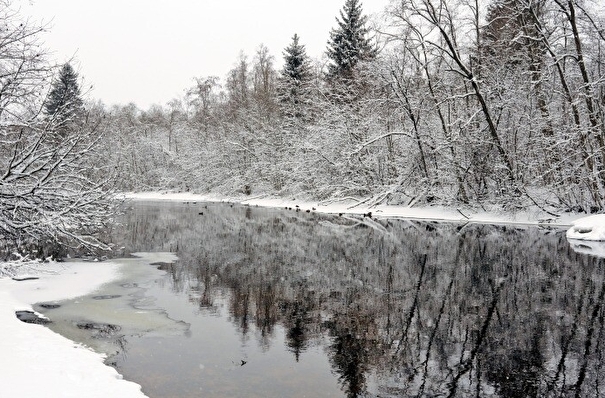 Река Величка в Ленинградской области стала новым памятником природы