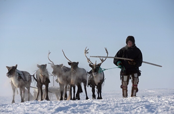 Первый международный чемпионат по оленеводству пройдет в Якутии в 2023 году