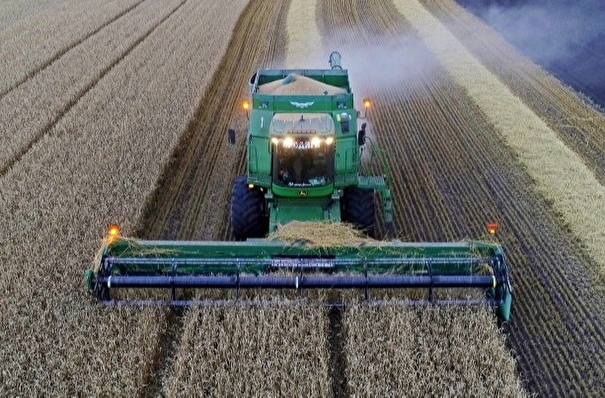 РФ в 2022г может собрать около 123 млн тонн зерна - глава Минсельхоза
