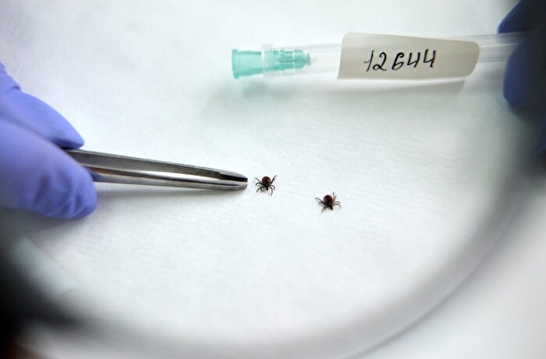 Сроки закупки вакцин против клещевого энцефалита для Свердловской области сдвинулись