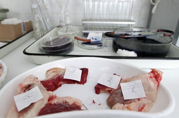 Россельхознадзор во Владивостоке выявил опасные бактерии в поступившем из Бразилии мясе