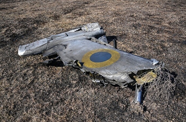 Минобороны РФ: российские средства ПВО сбили два украинских штурмовика Су-25 над Изюмом