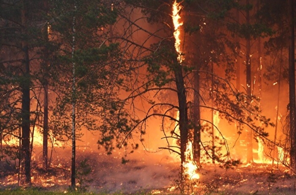 Более 500 домов пострадали в результате пожаров в Красноярском крае