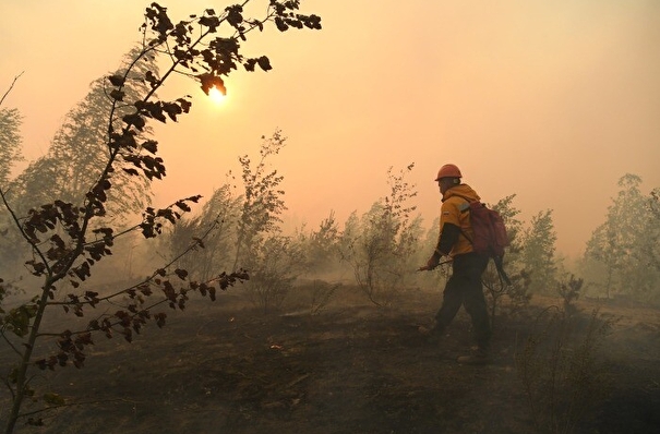 Шестнадцать пожаров действуют в Иркутской области, половина из них локализована - губернатор