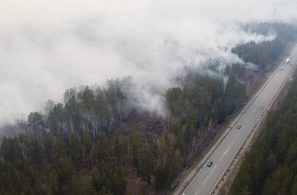 Режим ЧС ввели в Курганской области из-за угрозы пожаров