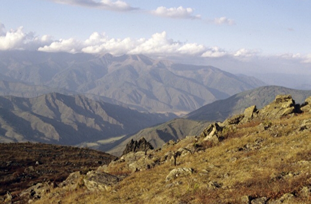 Часть горных тундр исчезнет в ближайшие 30 лет на Урале - эксперт