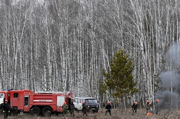 Лесные пожары на площади более 15 тыс. га тушат в Иркутской области