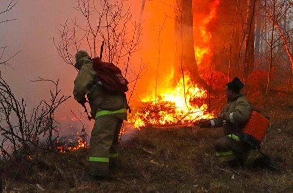 Количество пожаров в Сибири за год увеличилось в два раза - Рослесхоз
