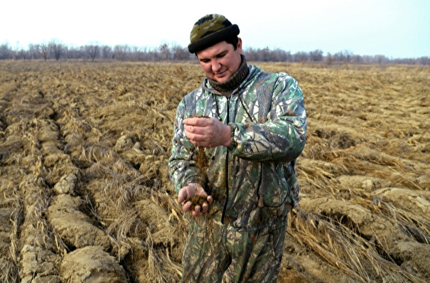 Свердловская область сдаст в аренду жителям земельные участки для сельского хозяйства за 1 рубль