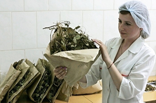 Югра может стать лидером производства органических дикоросов - Роскачество