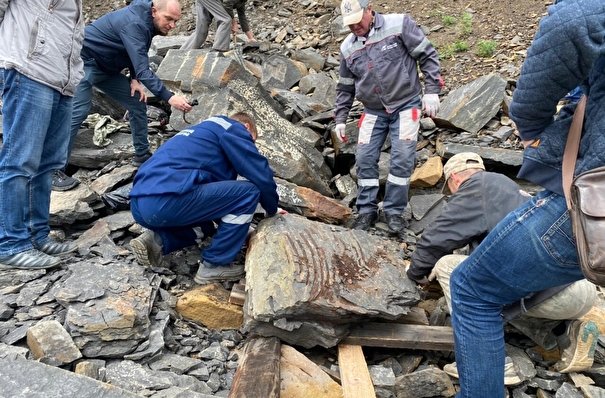 Останки ихтиозавра обнаружили на острове Русский в Приморье