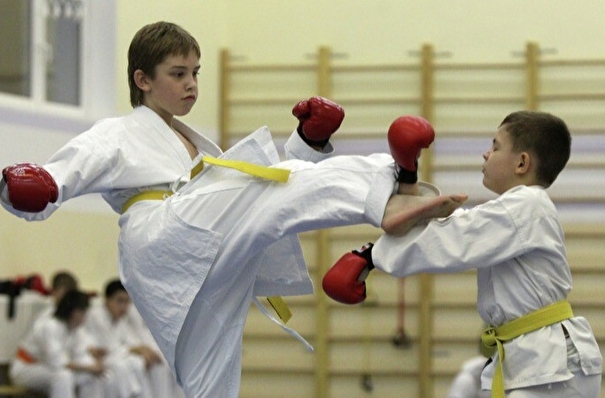 Каратэ-киокусинкай появится на уроках физкультуры в некоторых школах Сахалина - облдума